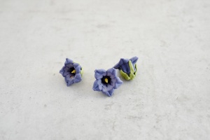 Zuckerblumen Enzian, blau, 16 Stück