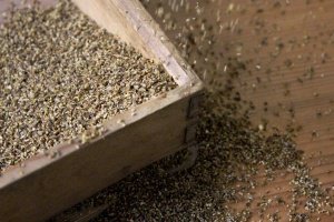 Kümmel gehackt 100 g