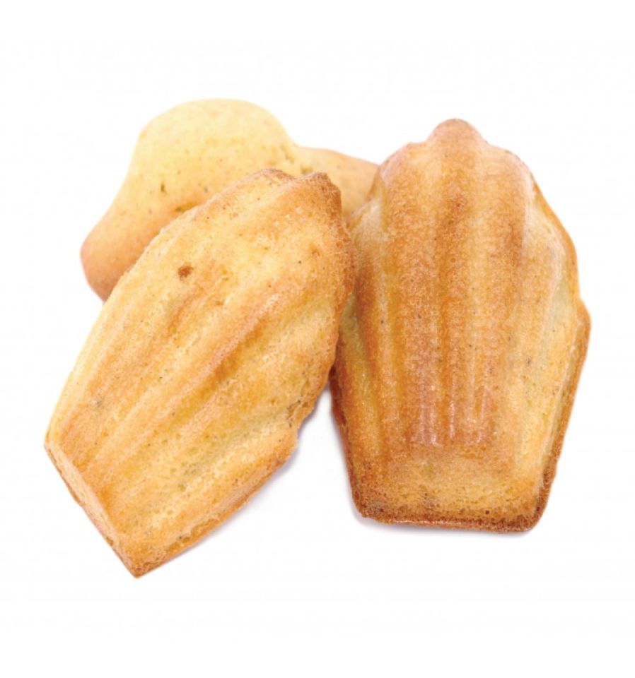 Bärentatzen Madeleine-Form, 12-fach