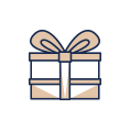 Geschenk Icon