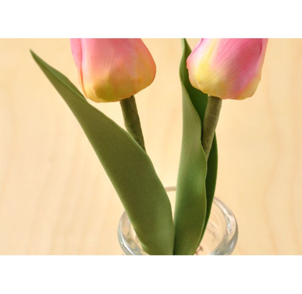 SK Veiner Tulpen-Blätter Präger Set 18 cm