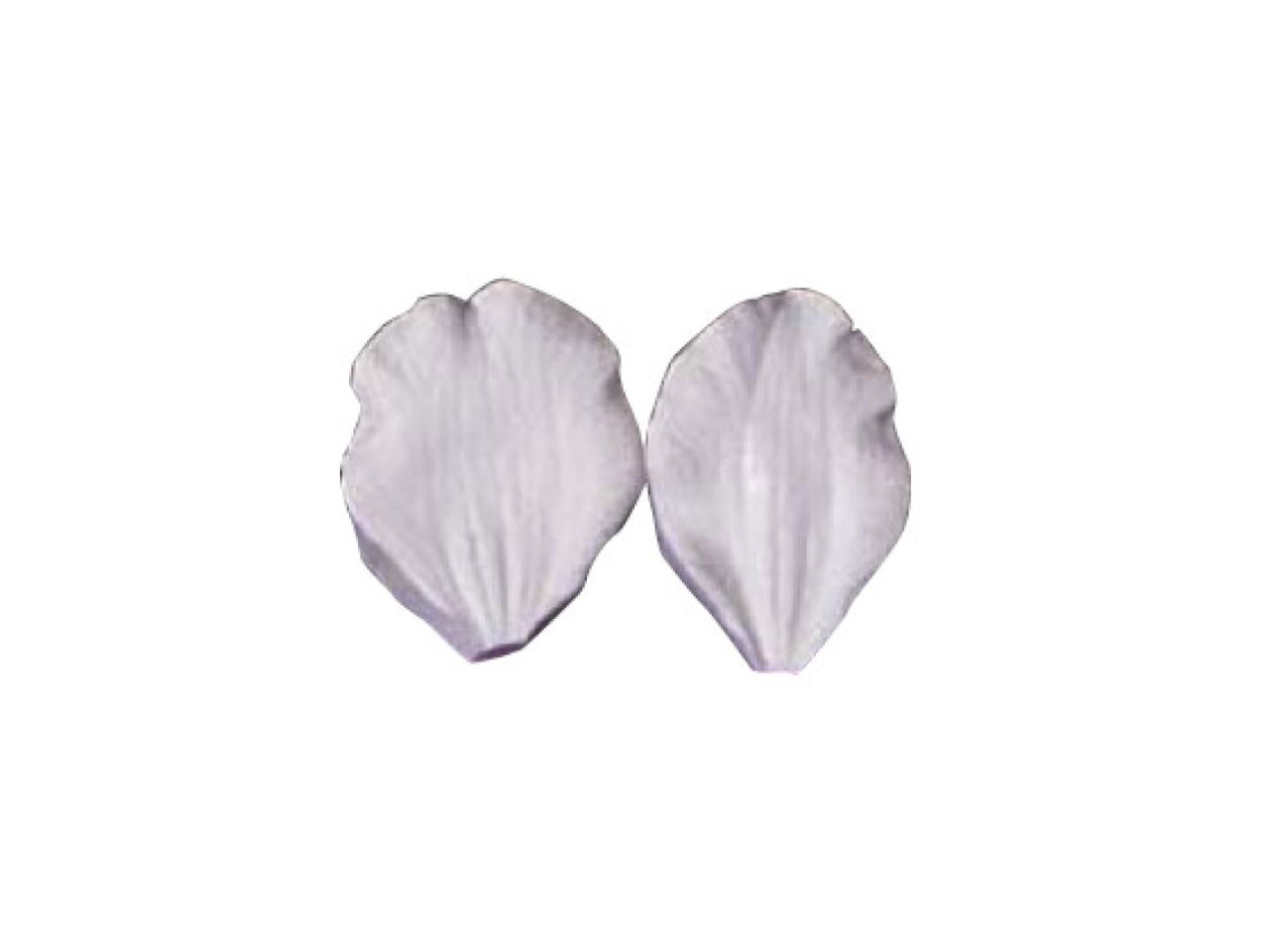 SK Veiner Clematis-Montana Alba Präger 4,0 cm, 2er Set