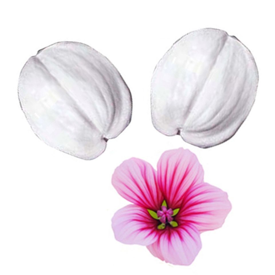 SK Veiner Flamingoblume 5,5 cm