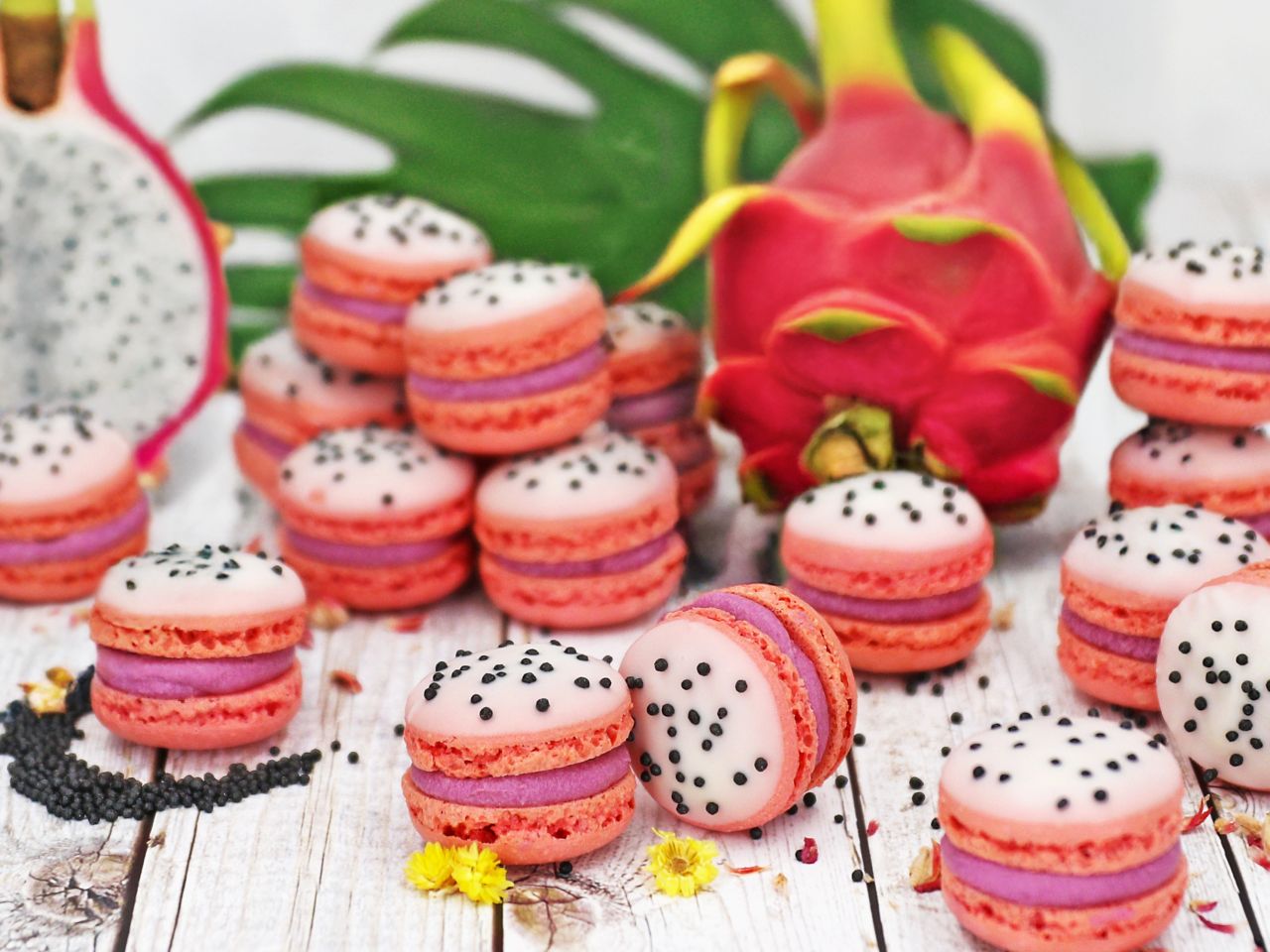 Drachenfrucht-Macarons