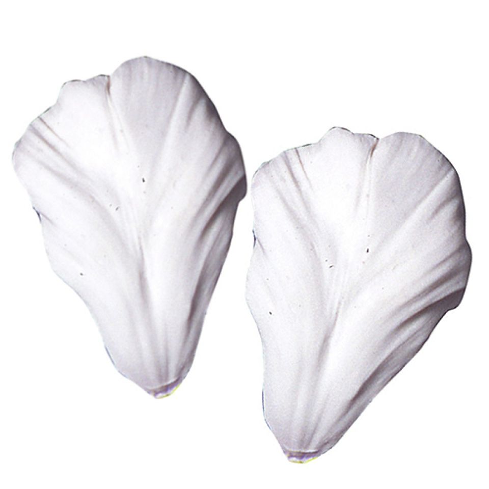 SK Veiner Tulpe Parrot Roccoco L 7,7 cm