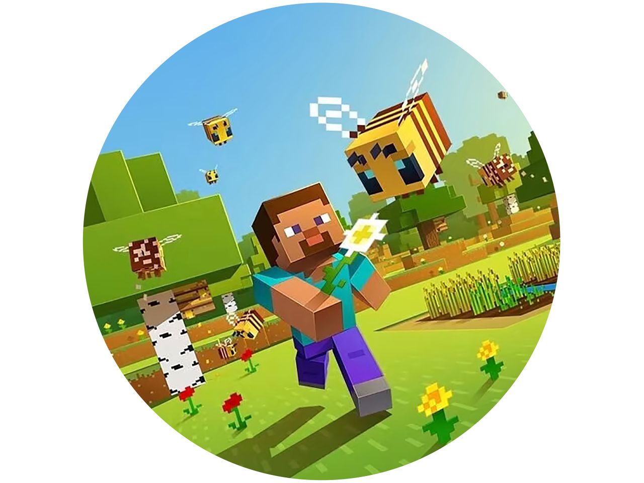 Tortenaufleger Minecraft 6